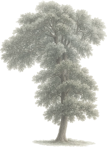flower-bottom