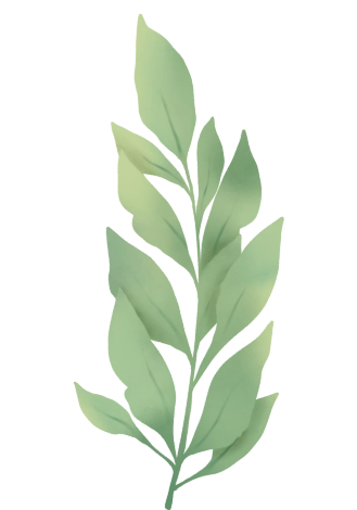 img-title
